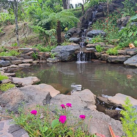 Mayura Bali Villa Munduk Exteriör bild