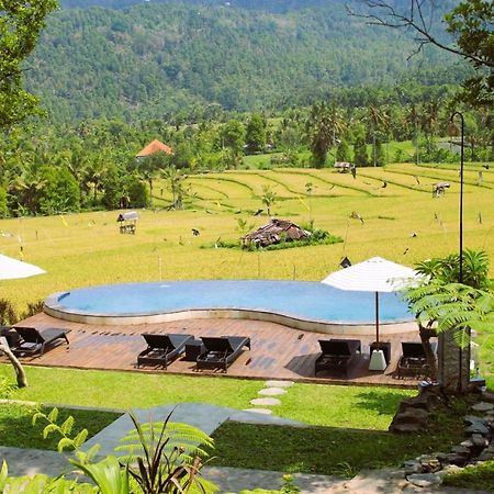 Mayura Bali Villa Munduk Exteriör bild