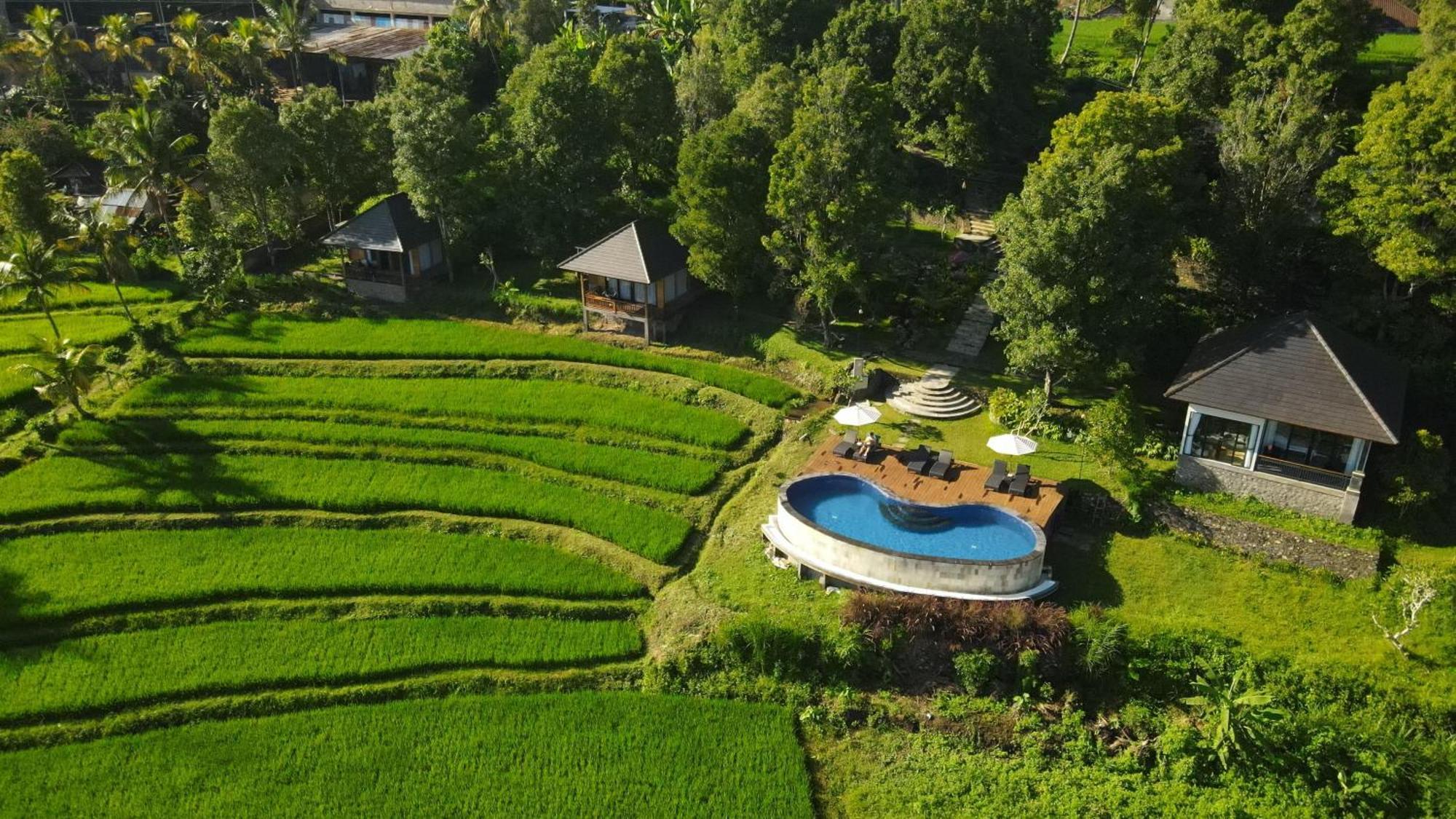 Mayura Bali Villa Munduk Exteriör bild