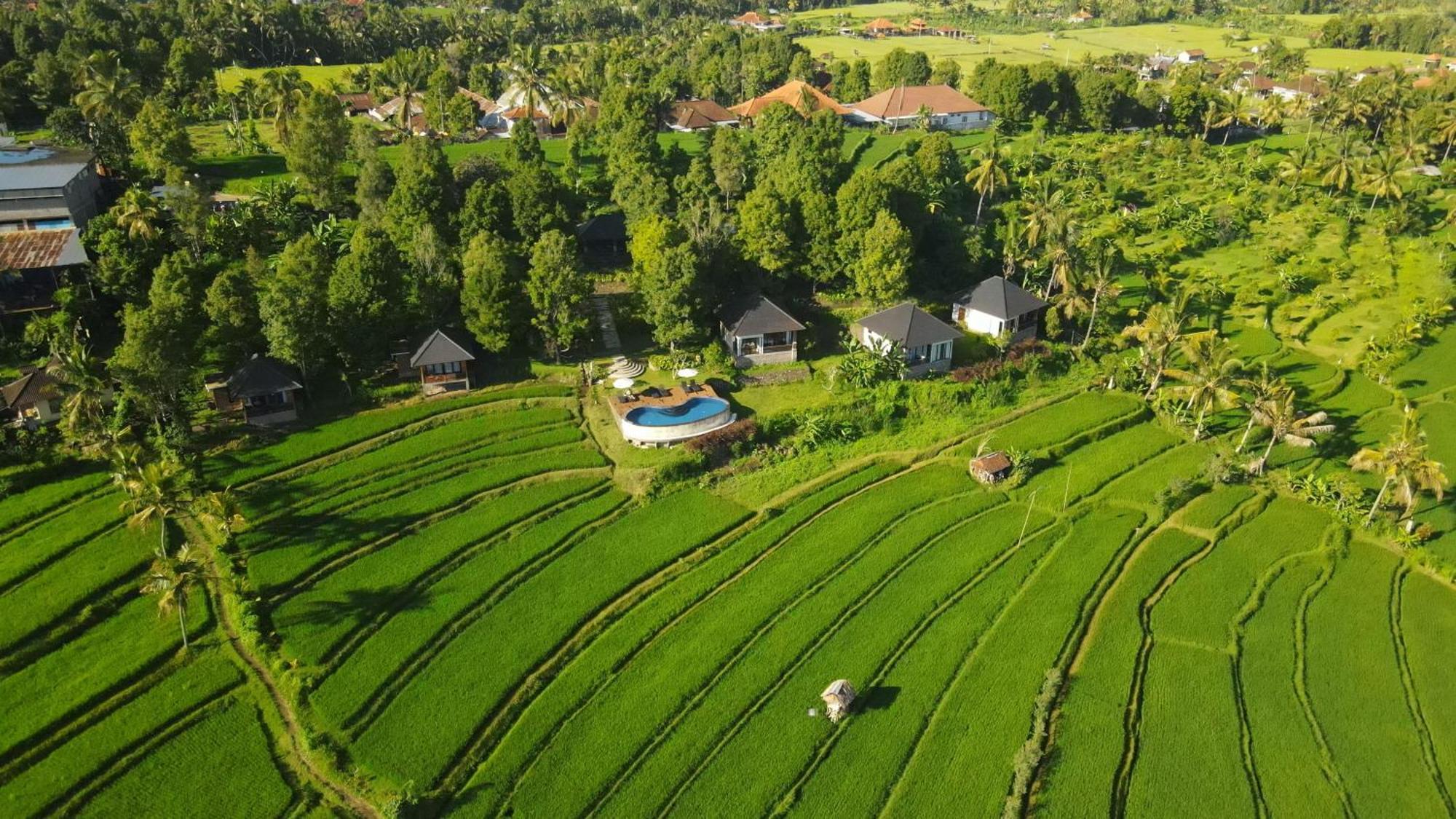 Mayura Bali Villa Munduk Exteriör bild