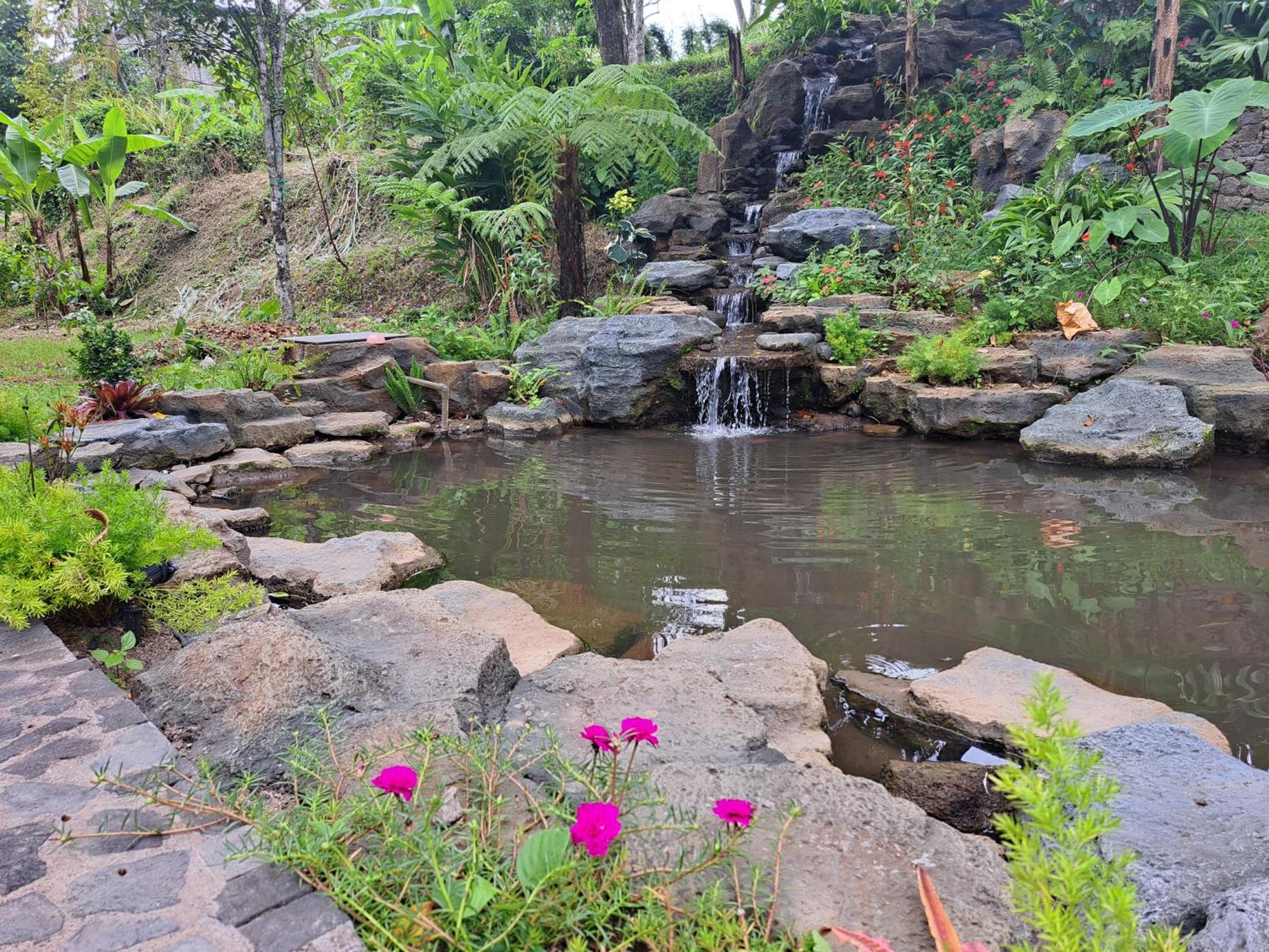 Mayura Bali Villa Munduk Exteriör bild