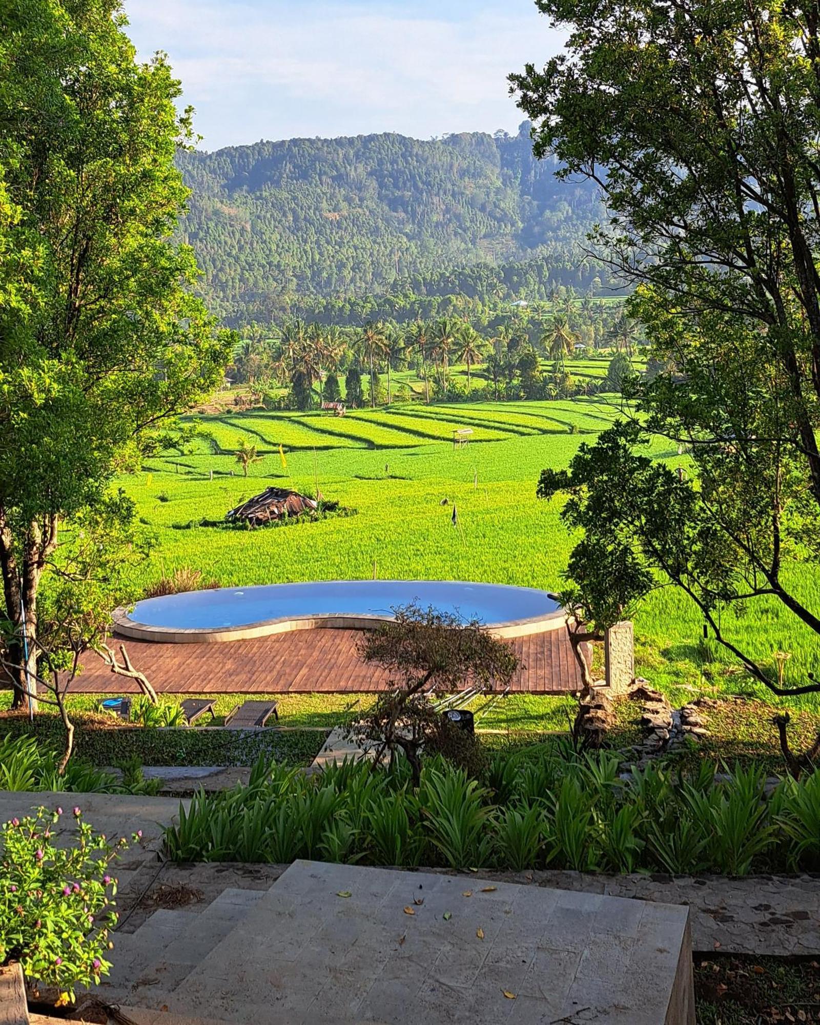 Mayura Bali Villa Munduk Exteriör bild