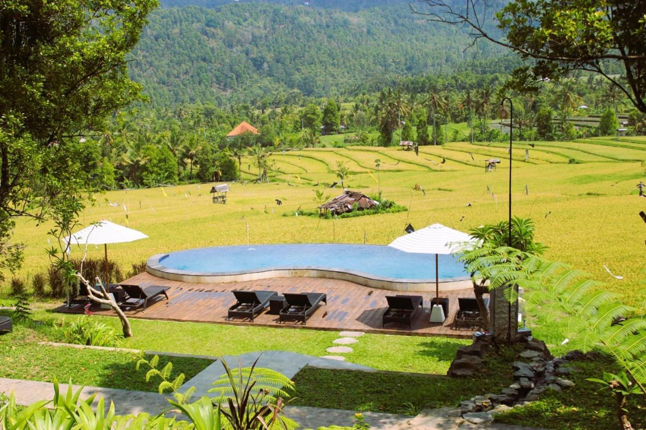 Mayura Bali Villa Munduk Exteriör bild