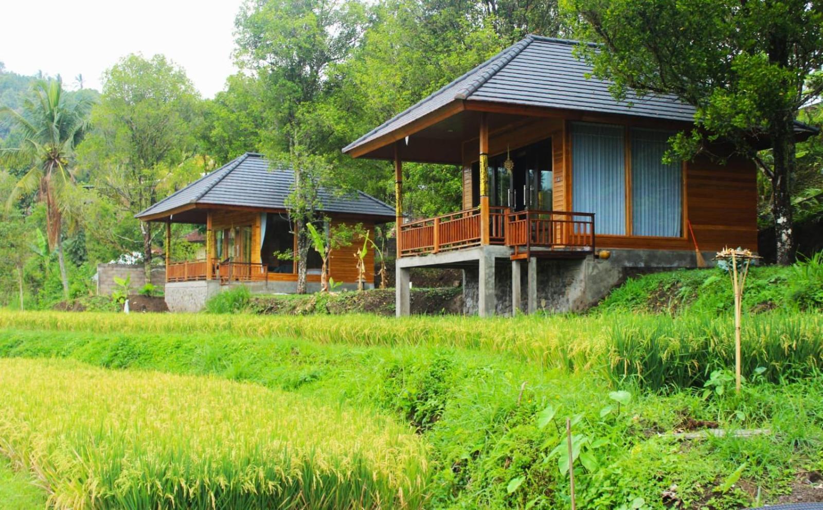 Mayura Bali Villa Munduk Exteriör bild