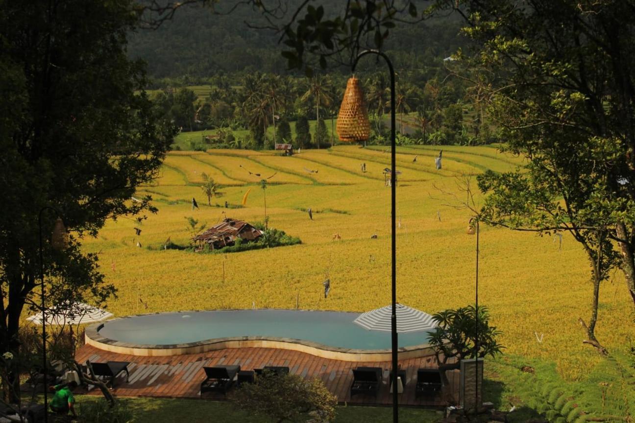 Mayura Bali Villa Munduk Exteriör bild